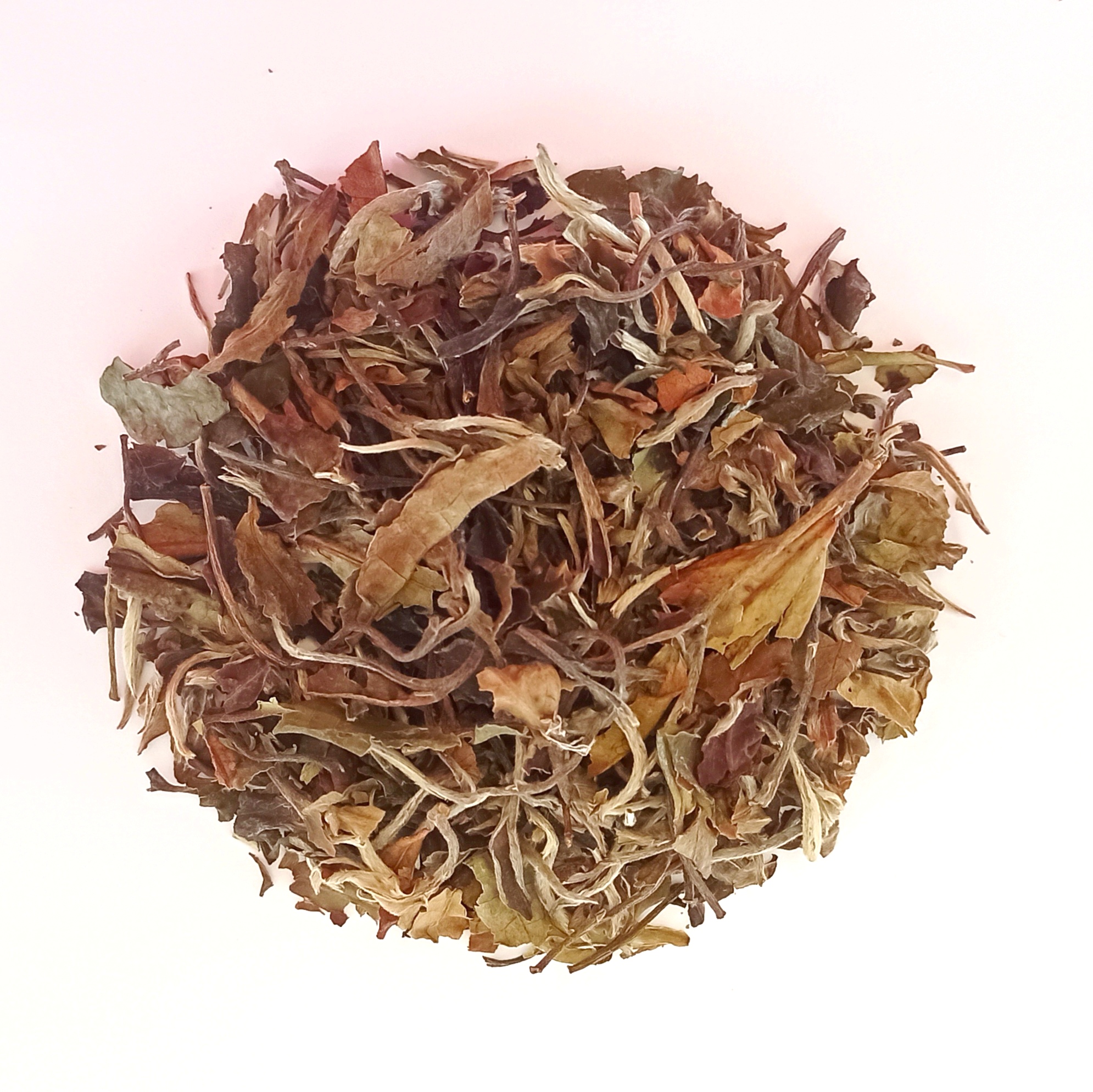 Pai Mu Tan HW